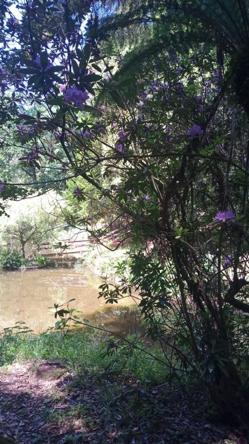 Pousada Flor De Iris São João del Rei Εξωτερικό φωτογραφία