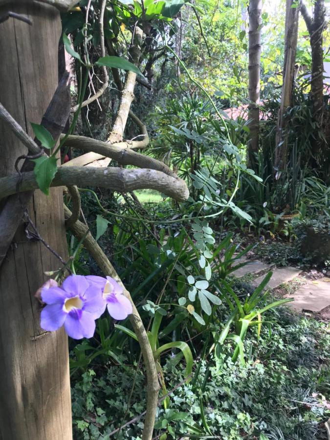 Pousada Flor De Iris São João del Rei Εξωτερικό φωτογραφία